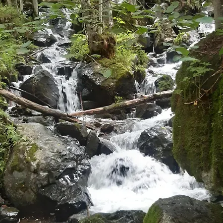 Apartment 8 Bett Spatzennest *